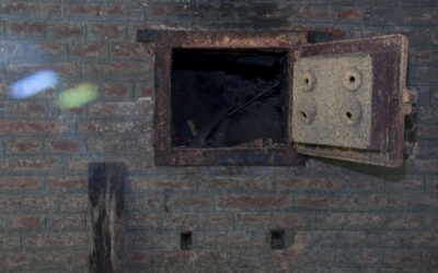 Algunas reflexiones a propósito de los dichos del escritor Marcelo Birmajer.