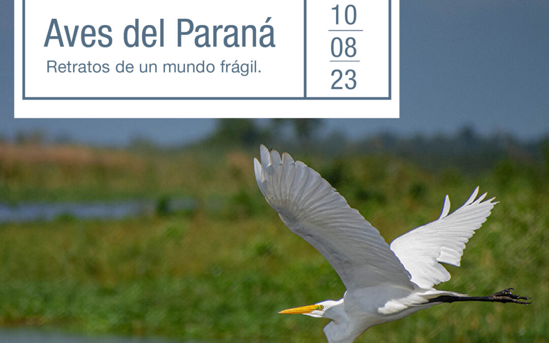 Inauguración de “Aves del Paraná. Un mundo frágil”