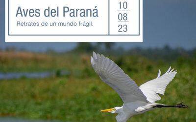 Inauguración de «Aves del Paraná. Un mundo frágil»