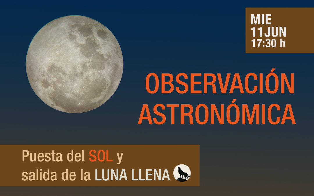 Observación Astronómica