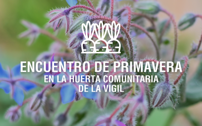 Primavera en la huerta comunitaria de La Vigil